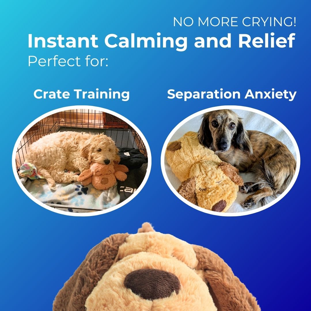 Comfort Companion - Dog Anxiety Relief
